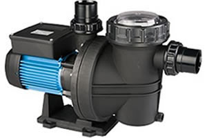 DAVEY TYPHOON POOL & SPA PUMP
