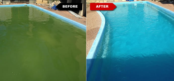 From Green Pool to Clean Pool