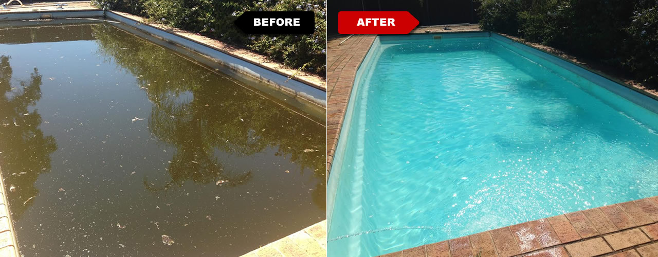 Before and After Pool Clean